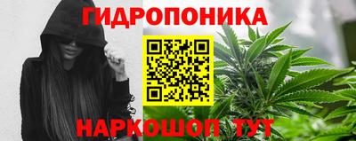 гашик Коммунар