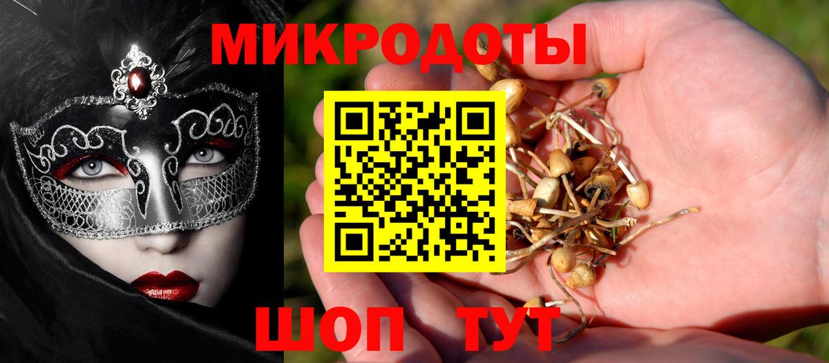 Кстово  Псилоцибиновые грибы Psilocybe  что такое наркотик  Вход с VPN 